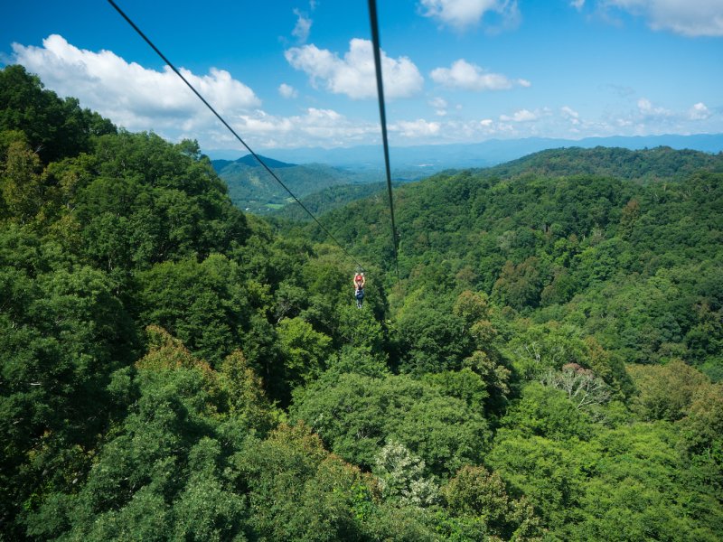 Soar Across Zip Lines and Aerial Adventure Parks in NC